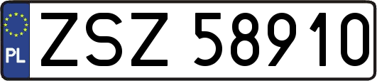 ZSZ58910