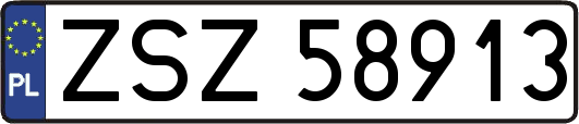 ZSZ58913