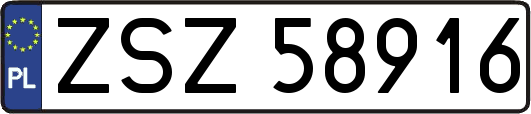 ZSZ58916