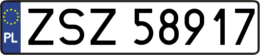 ZSZ58917