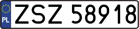 ZSZ58918