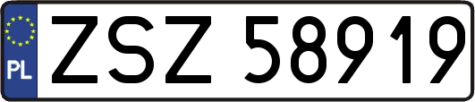 ZSZ58919