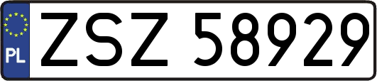 ZSZ58929