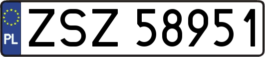 ZSZ58951