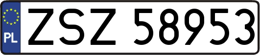 ZSZ58953