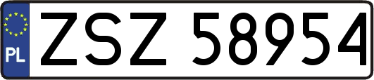 ZSZ58954