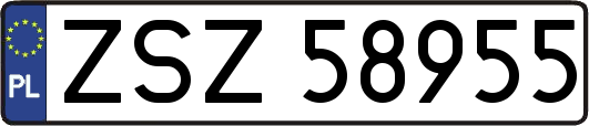 ZSZ58955