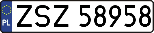 ZSZ58958