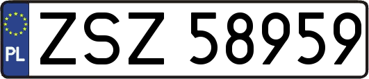 ZSZ58959