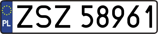 ZSZ58961