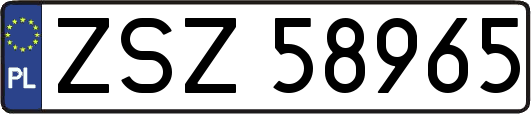ZSZ58965