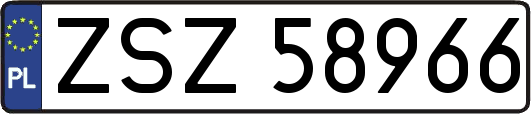 ZSZ58966