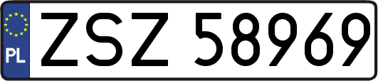 ZSZ58969