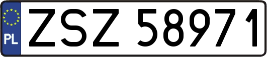 ZSZ58971