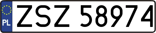 ZSZ58974