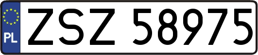 ZSZ58975