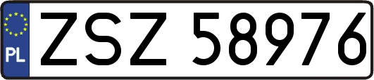 ZSZ58976