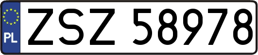 ZSZ58978
