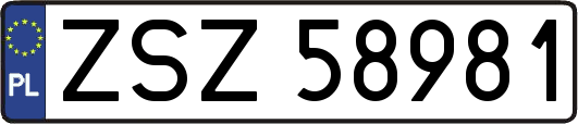 ZSZ58981