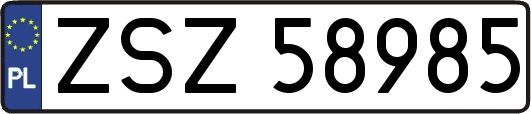 ZSZ58985