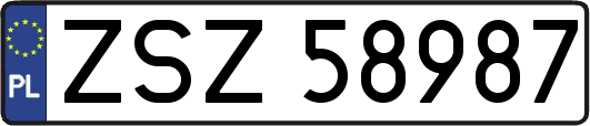 ZSZ58987