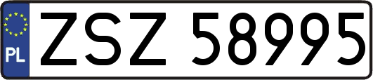 ZSZ58995