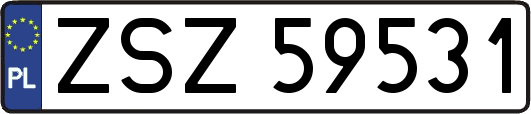 ZSZ59531