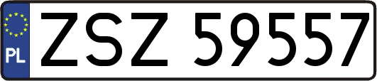 ZSZ59557