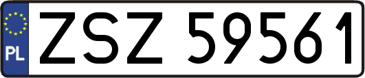 ZSZ59561