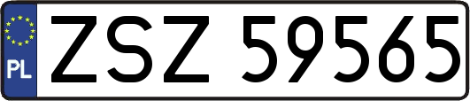 ZSZ59565