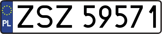 ZSZ59571