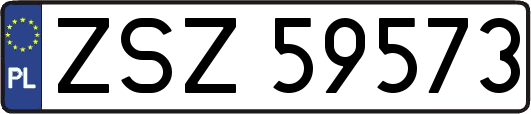ZSZ59573