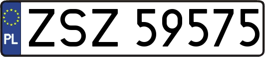 ZSZ59575