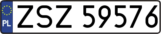 ZSZ59576