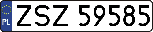 ZSZ59585