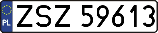 ZSZ59613