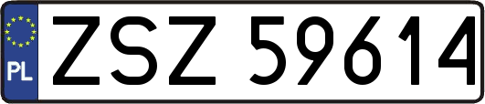 ZSZ59614