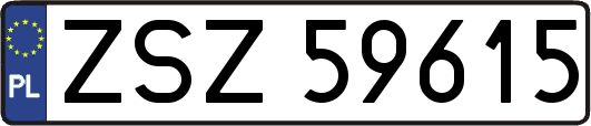 ZSZ59615