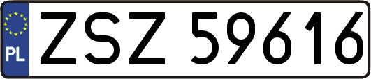 ZSZ59616