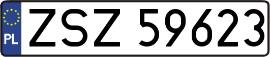 ZSZ59623