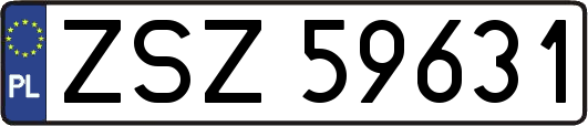 ZSZ59631