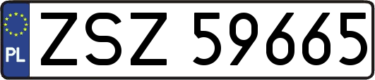 ZSZ59665