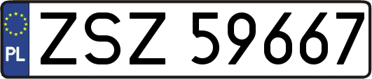 ZSZ59667