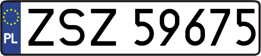 ZSZ59675
