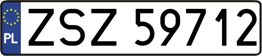 ZSZ59712