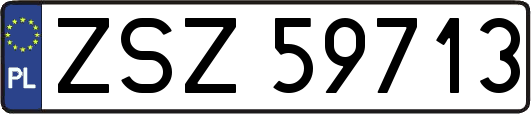 ZSZ59713