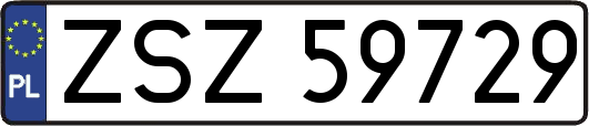 ZSZ59729
