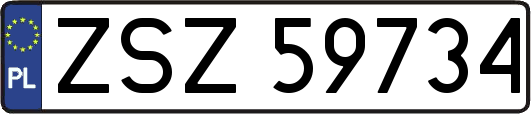 ZSZ59734