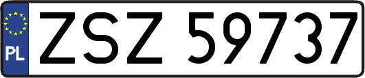 ZSZ59737