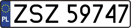 ZSZ59747